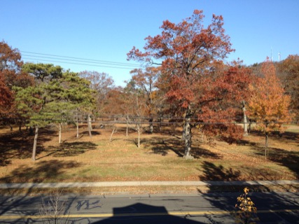 Apartment View
